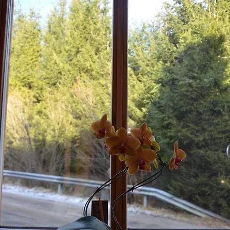 Haus Elena Am Semmering Apartman Steinhaus am Semmering