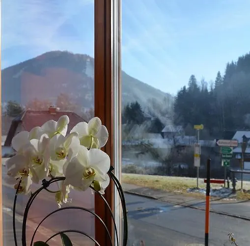 Haus Elena Am Semmering * Steinhaus am Semmering