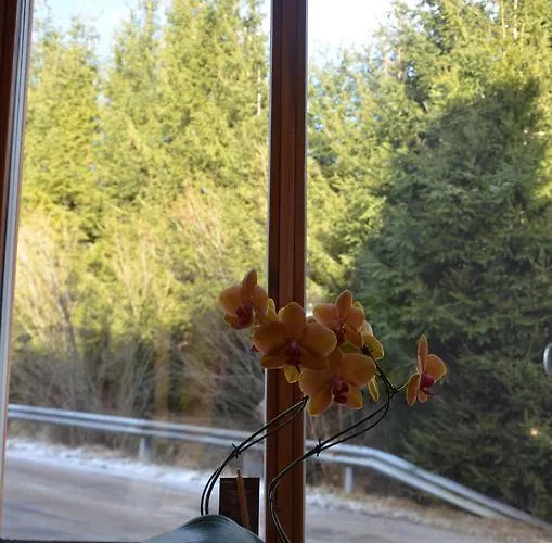 赛美瑞豪斯爱娜姆公寓 公寓 斯坦豪斯阿赛姆瑞