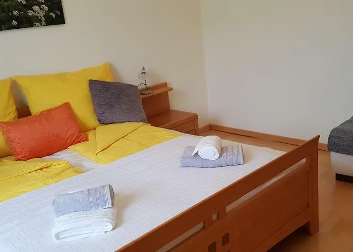 公寓 赛美瑞豪斯爱娜姆公寓 *