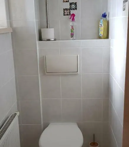 赛美瑞豪斯爱娜姆公寓 公寓 *